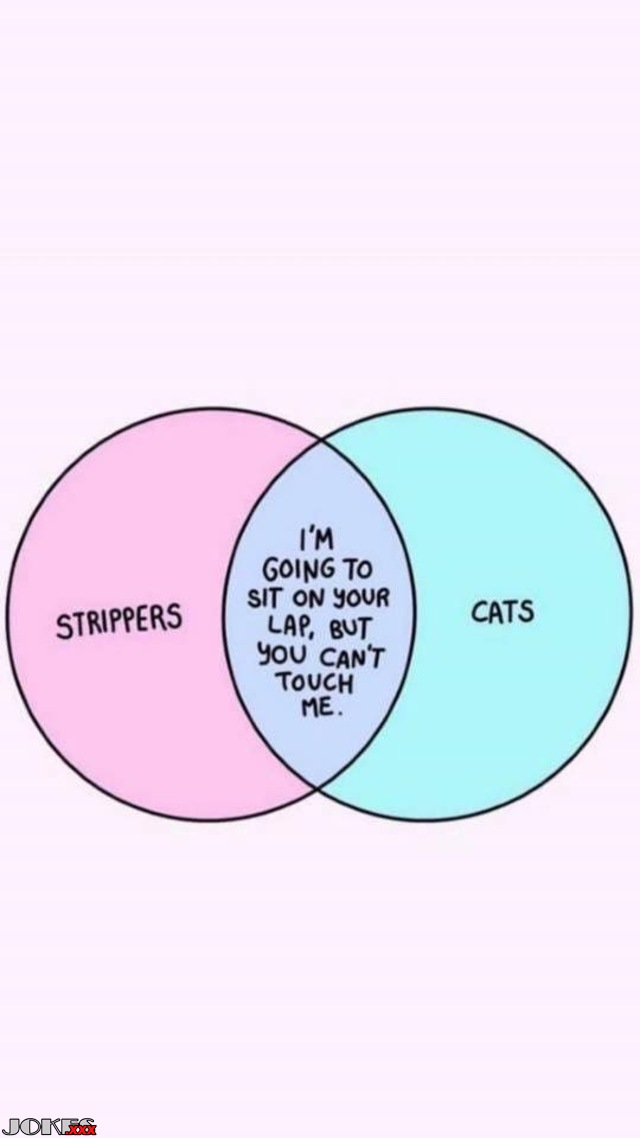 Strippers vs cats
