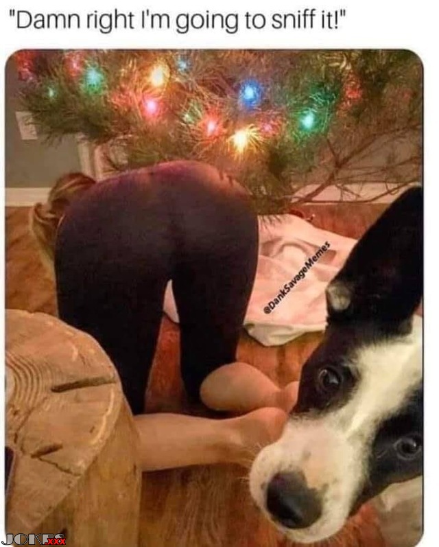 Sniff
