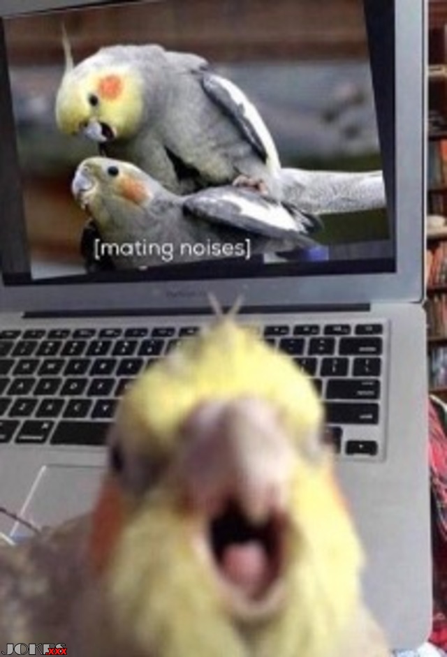 Caught