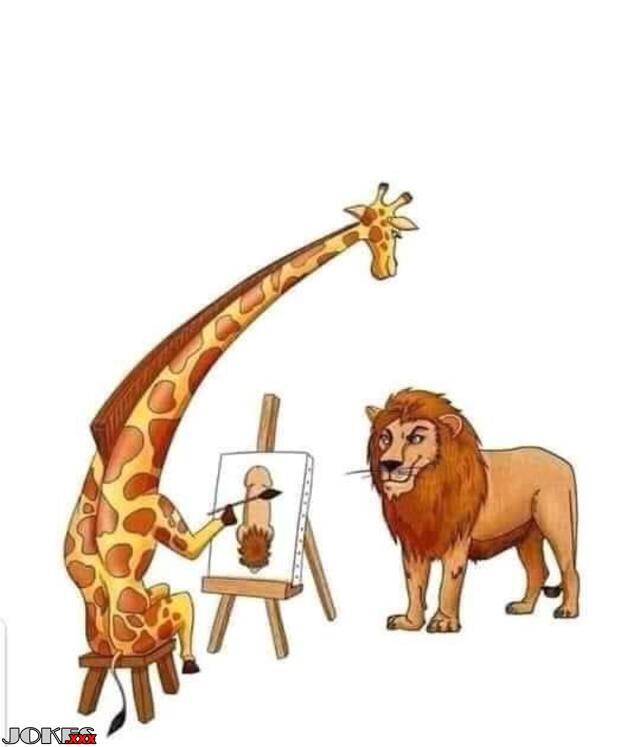 Lions are dicks...