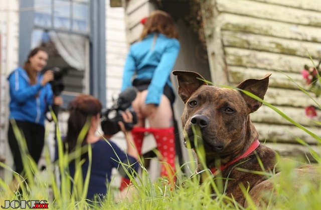 What a nice dog