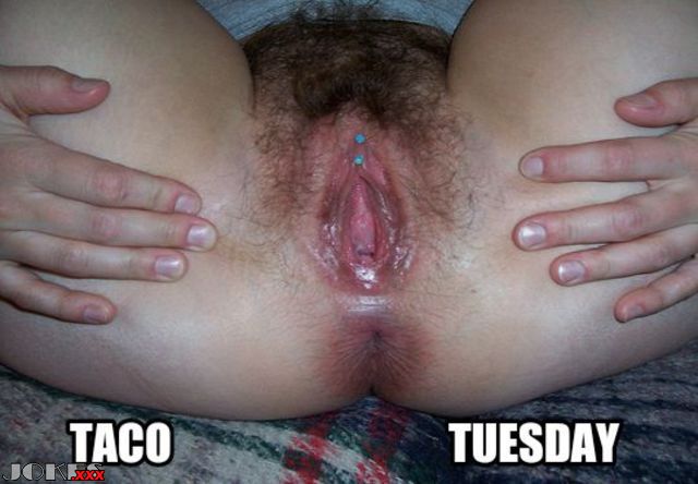 taco Tuesday