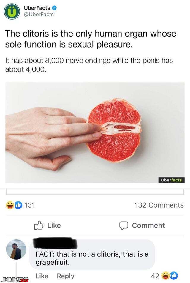 Clitoris
