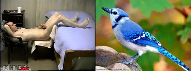 Naked As A Jaybird