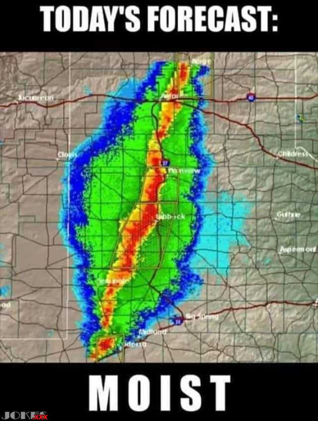 Today's weather