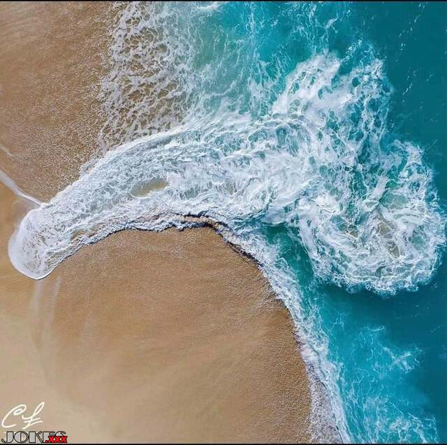 The ocean is a dick