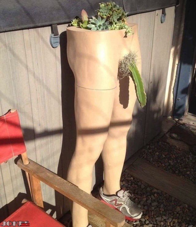 Everything is a dildo